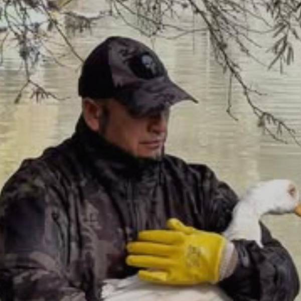 La Municipalidad rescató a un pato doméstico enfermo que fue abandonado en el parque San Martín