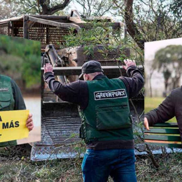 Greenpeace dice que en 2025 Santiago del Estero, Chaco, Salta y Formosa, aumentaron la deforestación