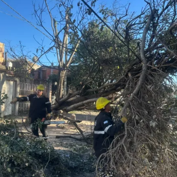 El Zonda no da tregua: La Municipalidad de Salta intervino en 135 incidentes por el viento y el fuego