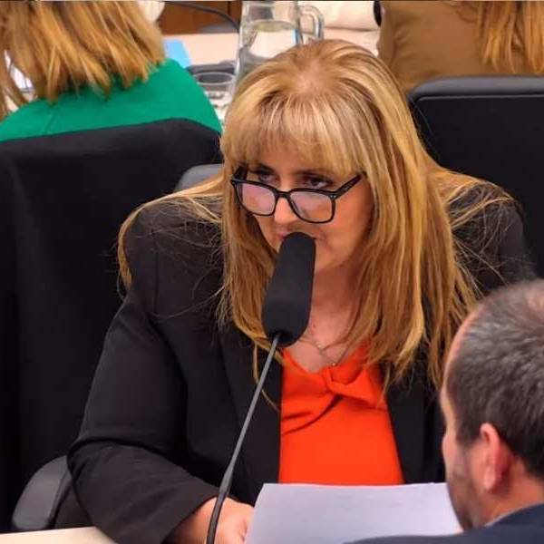 Una funcionaria salteña acusó a diputados de la Libertad Avanza de burlarse de los discapacitados