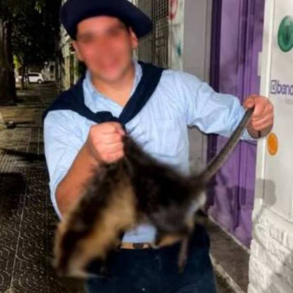 Indignante: En Bahía Blanca dos jovenes de 18 años mataron a patadas a una nutria, se filmaron y fueron denunciados