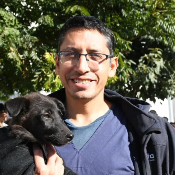 Adoptá un amigo:  Este martes 28 la Municipalidad de Salta llevará adelante una nueva jornada de adopción de mascotas