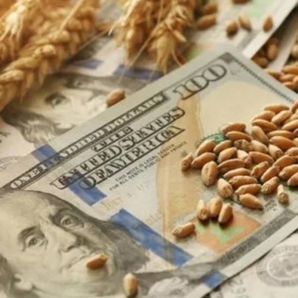 La crisis se agrava: Se desacelera la canilla de los agro dólares lo que aumentará la volatilidad del dólar