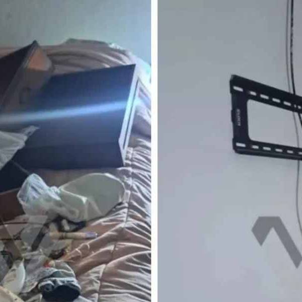 Rosario de Lerma: En un robo en El Encón los delincuentes mataron a un caniche y doparon a los otros perros de la casa