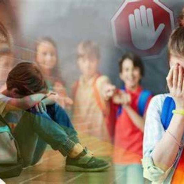 El senado de Salta aprobó un proyecto por cual padres o tutores de estudiantes que hagan bullying serán responsables ante la Justicia