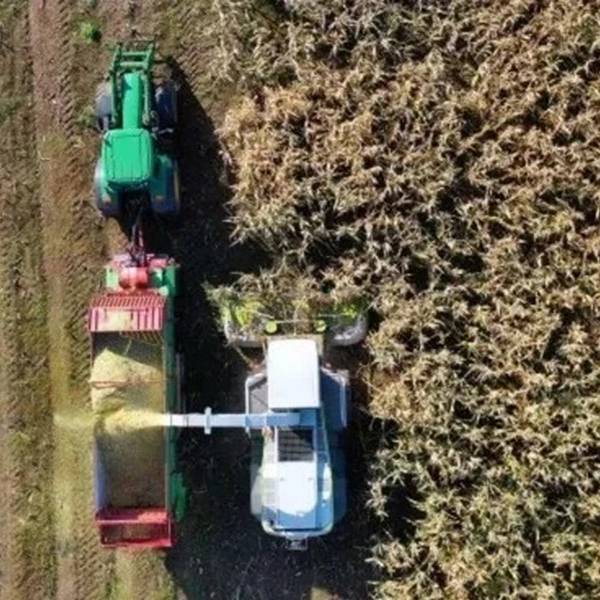 Donald Trump impulsa la producción de soja en Estados Unidos: 