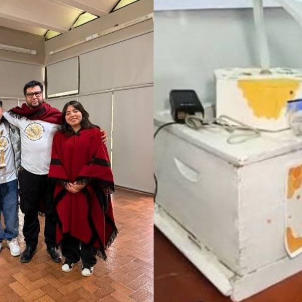 Beelife, el nebulizador creado por la Escuela Ténica de barrio San Remo, ganó un concurso internacional