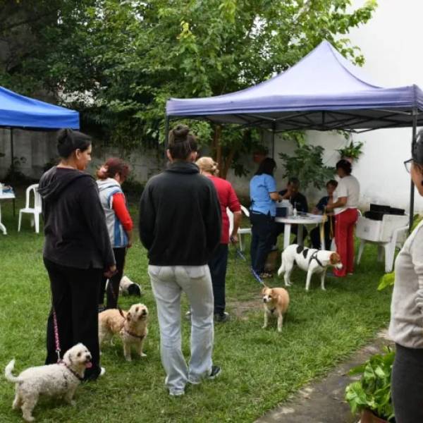 Vacunación antirrábica en la Ciudad de Salta: Conocé los barrios que visitará el móvil esta semana