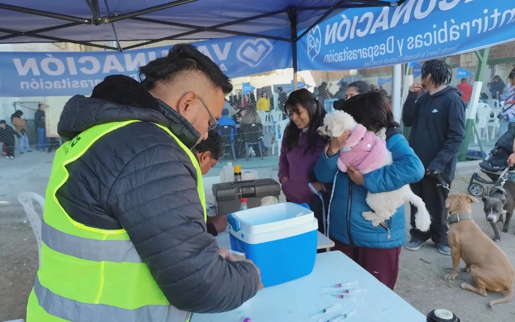 La próxima semana habrá vacunación antirrábica en Solidaridad y Fraternidad