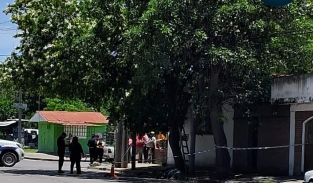 Tragedia en Barrio Castañares: Un hombre cayó de un arbol mientras lo podaba y falleció