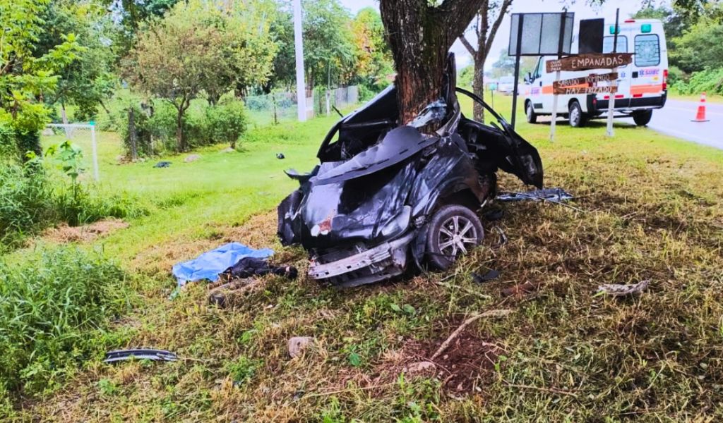 Tremendo accidente camino a Lesser a la altura del Quirquincho :chocó contra un árbol y perdió la vida