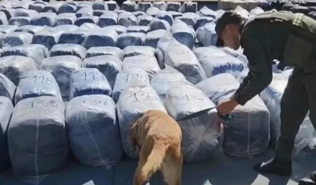 Se siguen incautando toneladas de hojas de coca  que entran por Salta que se usarían para producir pasta base