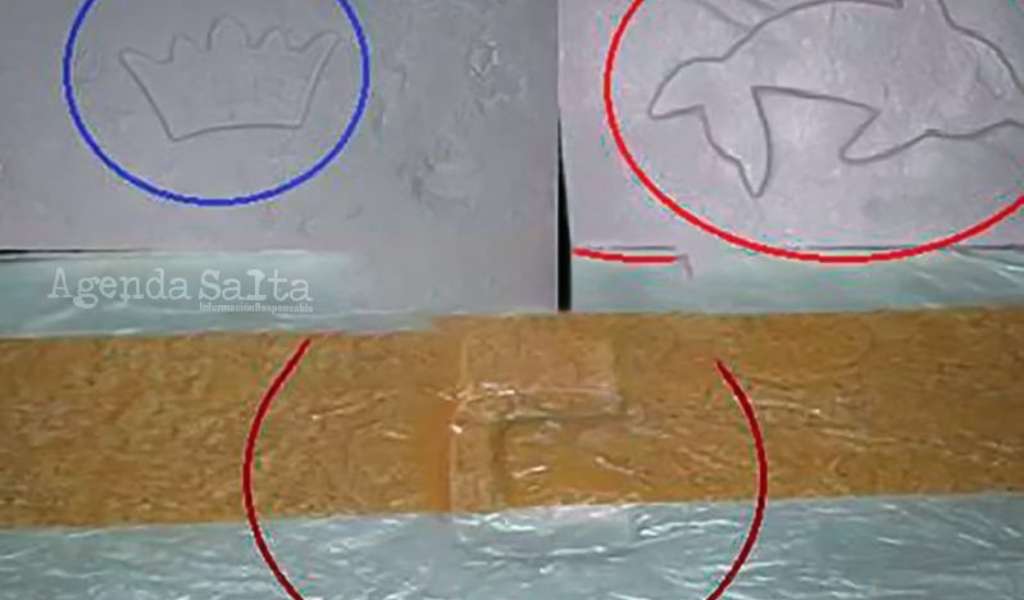 Asesinaron de 5 balazos a la mujer de uno de los narcotraficantes más peligrosos de Salta