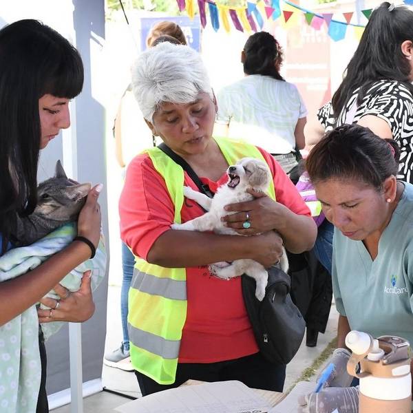 Cuidá a tu mascotas: Se vacunará contra la rabia en distintos barrios de la ciudad