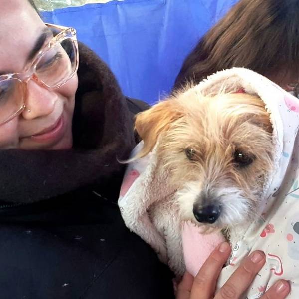 Cuidá a tu mascota: Este viernes habrá una castración masiva en el barrio 20 de Febrero