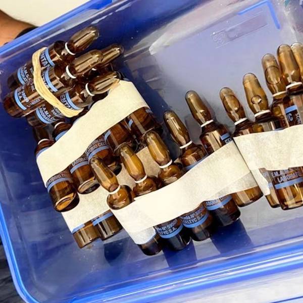 El robo de fentanilo en hospitales de la Argentina encendió las alarmas: Es el opiode más adictivo que existe