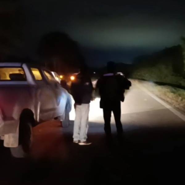 Tragedia en una ruta de Salta: Chocó contra una vaca, bajo a ver los daños y un camión lo atropelló y mató