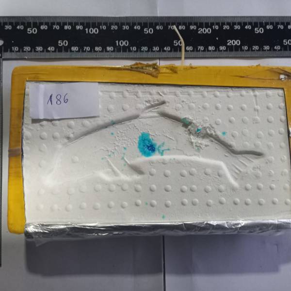 Los atraparon en el sur de Salta con más de 194 kilos de cocaína  ocultos en un doble fondos de un automóvil
