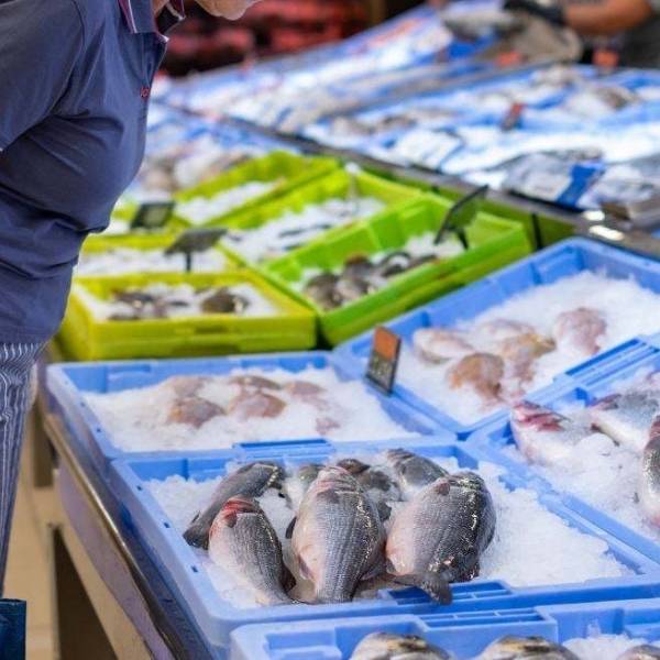 El municipio realizó 133 operativos en locales que venden  productos de Pascuas: supermercados y fiambrerías son los más multados