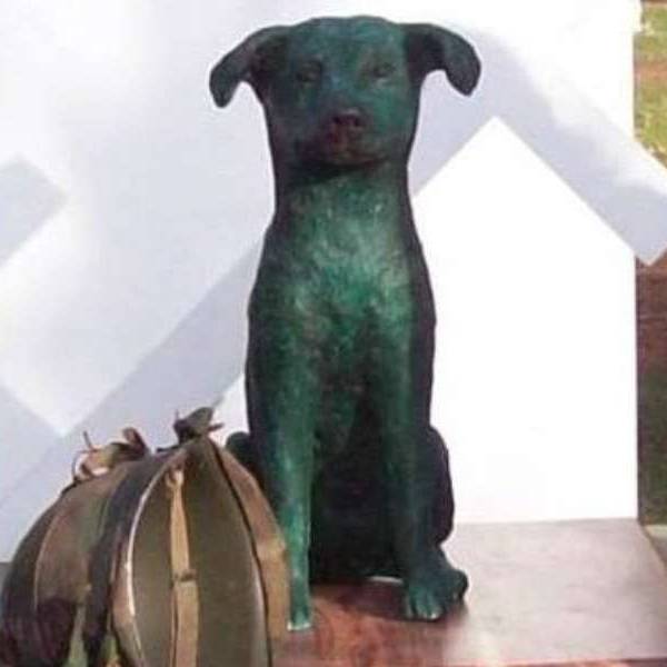La historia de un perro que viajó a Malvinas en 1982, alertó a soldados argentinos durante bombardeos y murió en combate